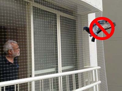 Service Details Image